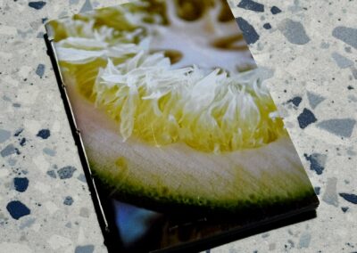 Lime Still Life Photo