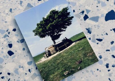 Memory Tree on Cleeve Hill