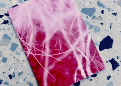 Orgasmic Pink 2 – Still Life Photo Project
